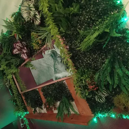 Romantique Avec Appartamento Perpignano